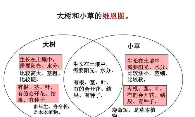 平安树的摘心打顶时间与方法详解（如何正确摘心打顶）