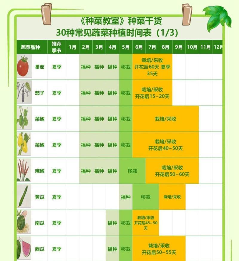 铃兰花的种植与养护方法