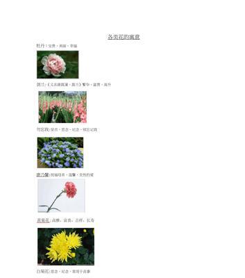 探寻君子兰的花语与寓意（解读君子兰的隐含心意）