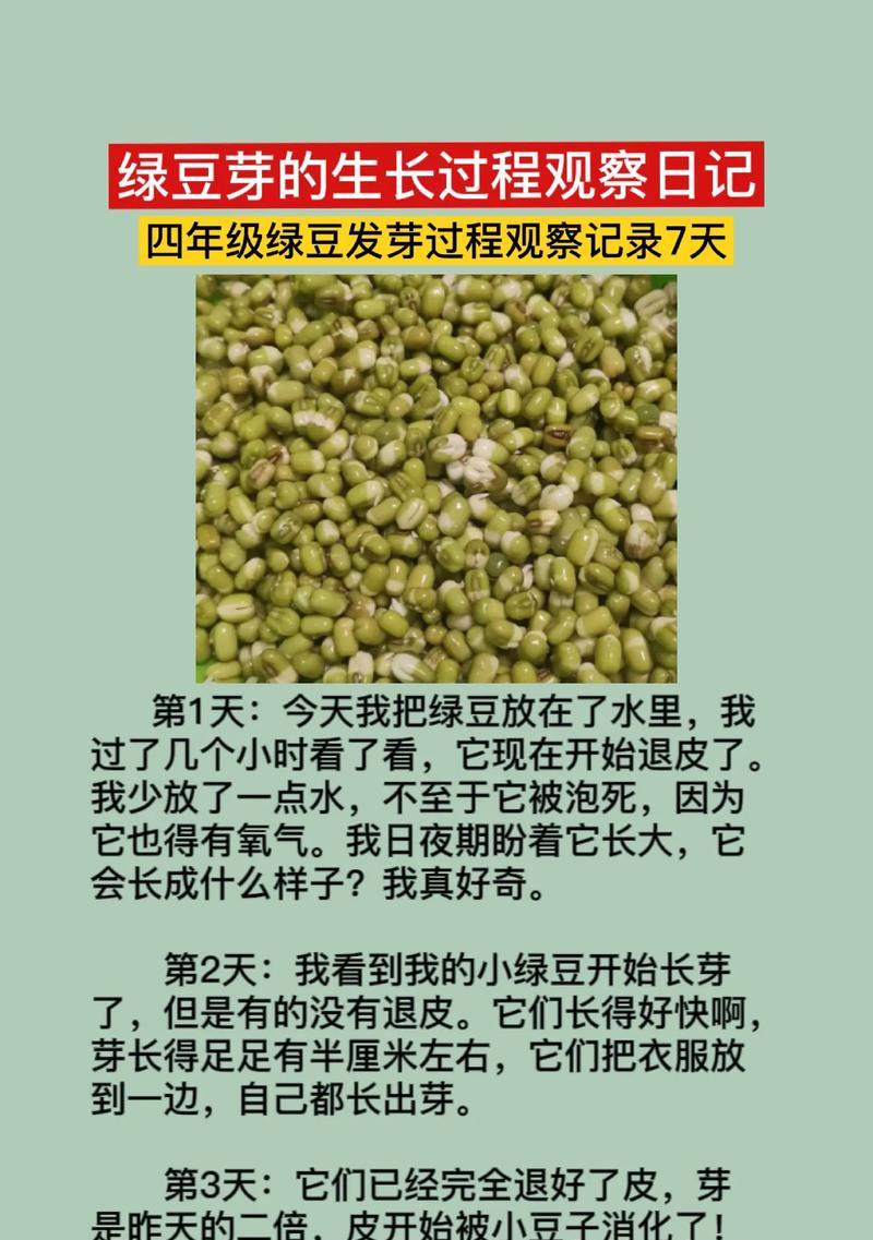 豆芽种植全攻略（从种子到豆芽）