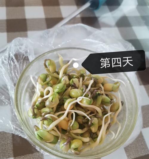 豆芽种植全攻略（从种子到豆芽）