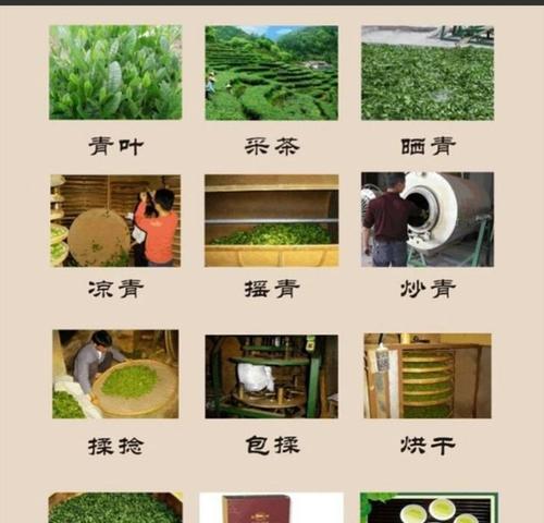 杜鹃花催花时间和方法（让你的杜鹃花早日开花）